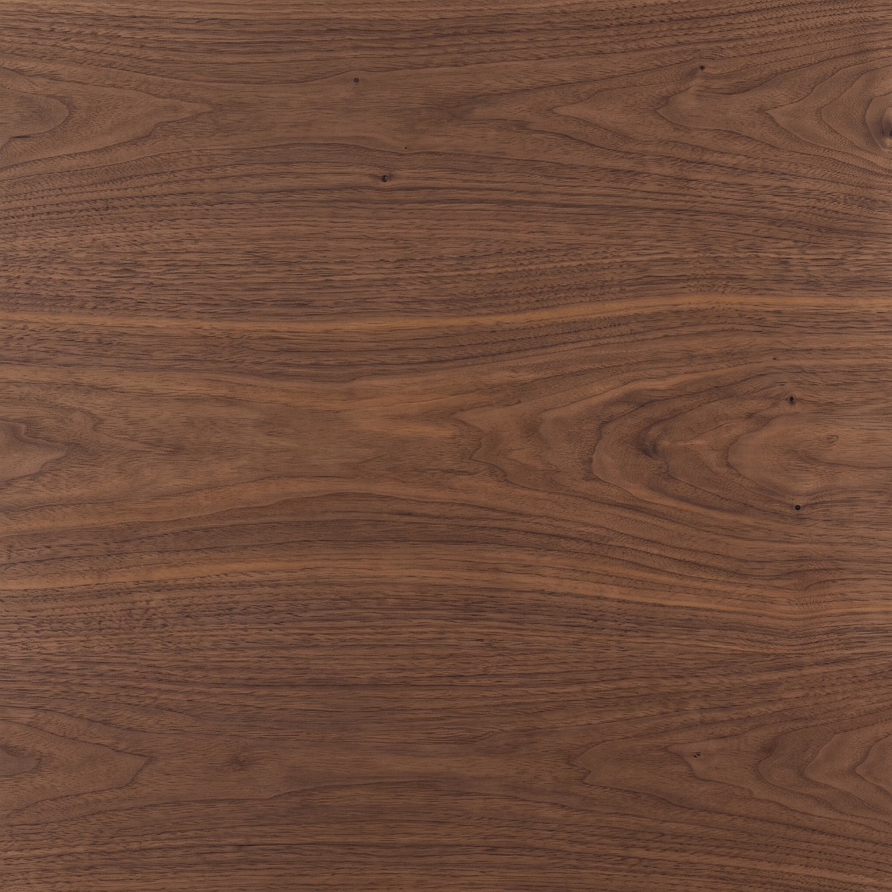 Natural Walnut Wood Texture 009