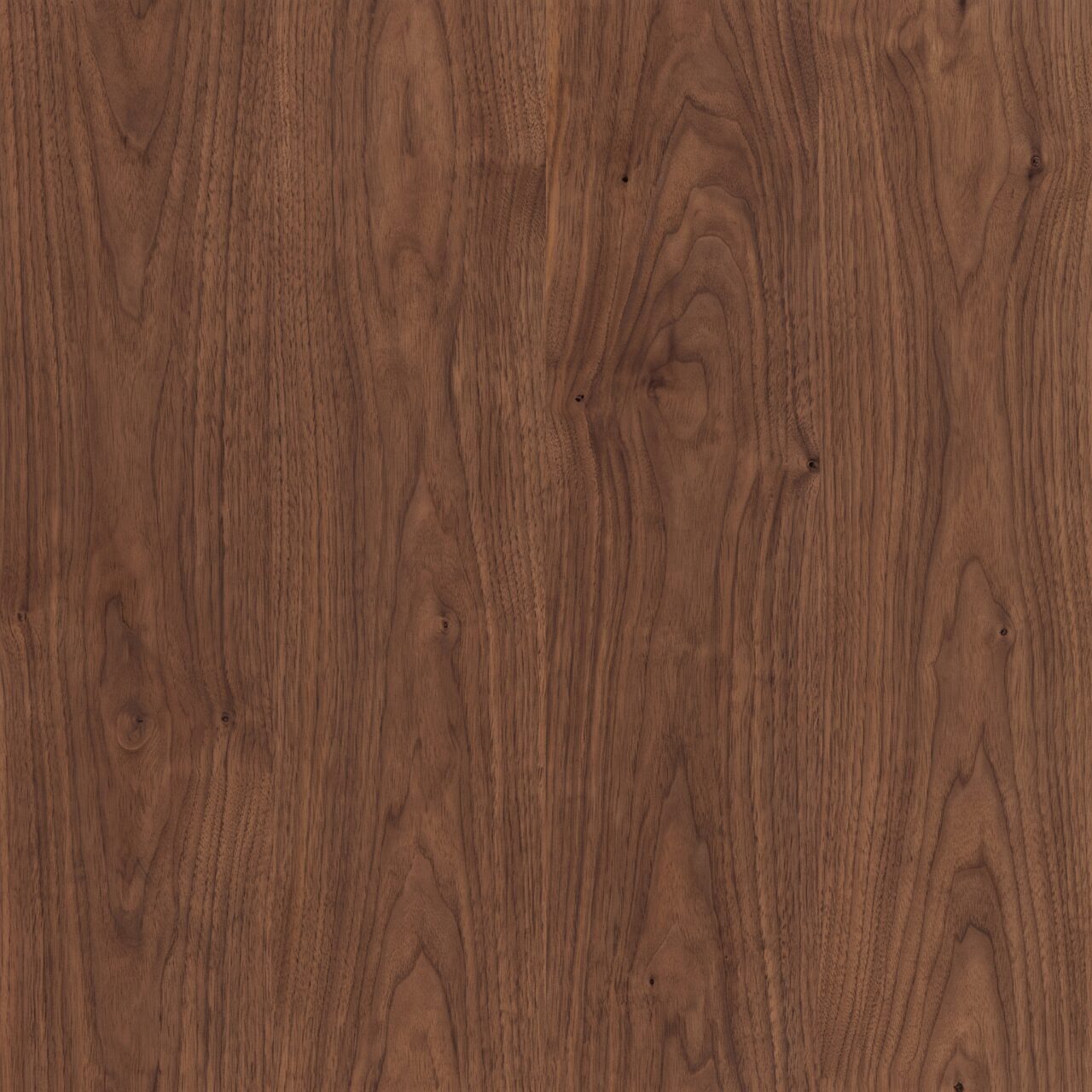 Natural Walnut Wood Texture 012