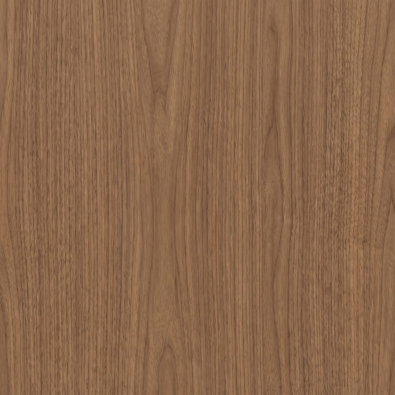 Natural Walnut Wood Texture 017