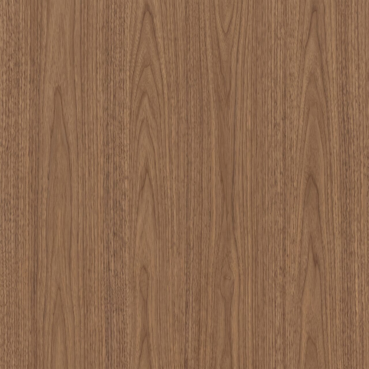 Natural Walnut Wood Texture 020