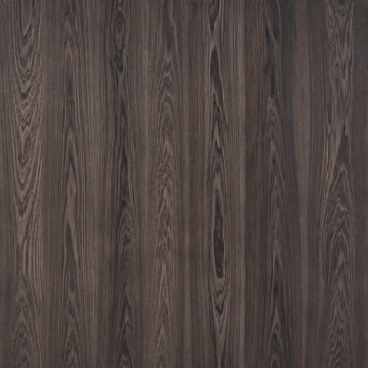 Smoked Ash Wood Texture 002