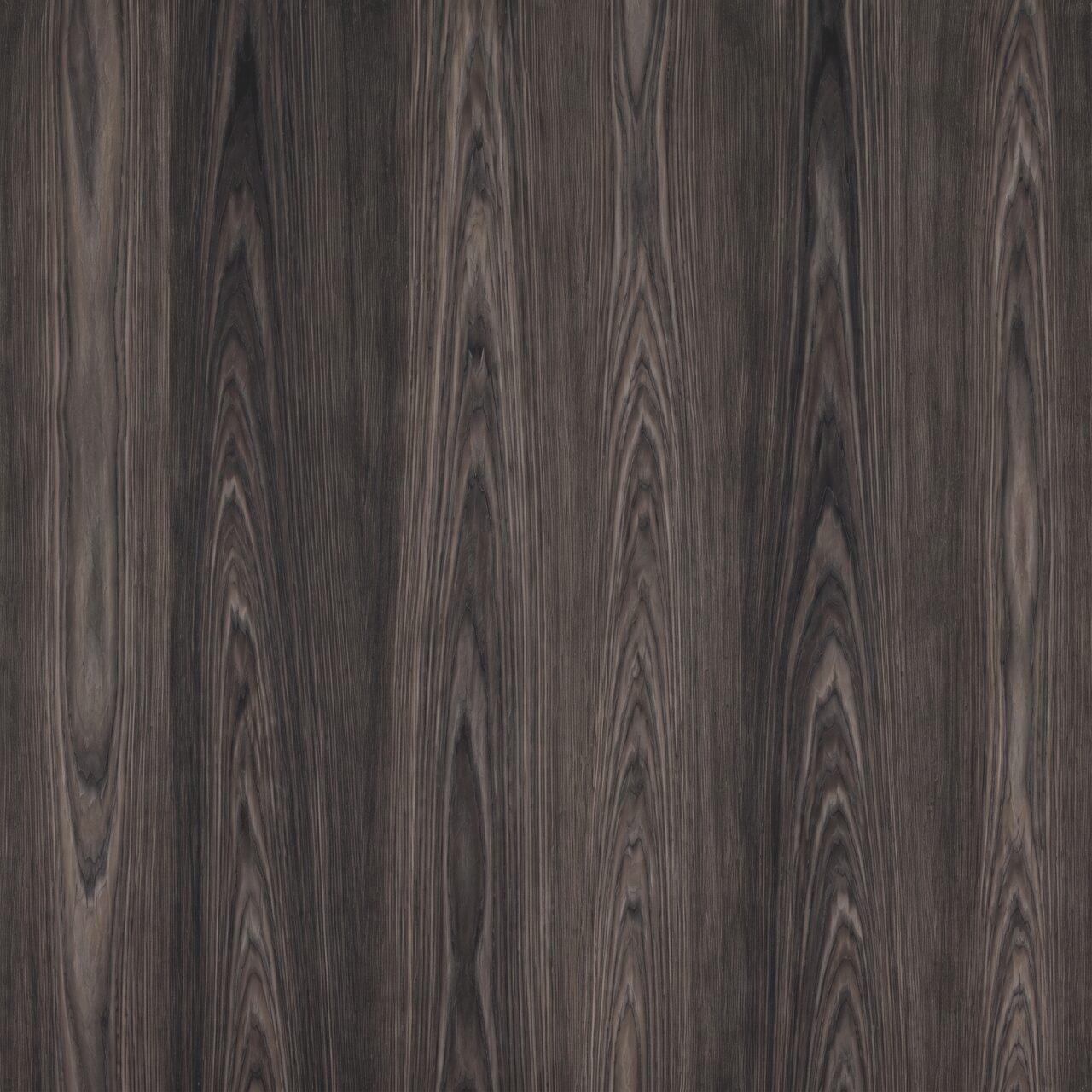 Smoked Ash Wood Texture 005