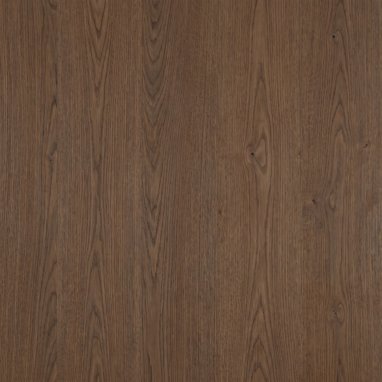 Smoked European Oak Wood Texture 002