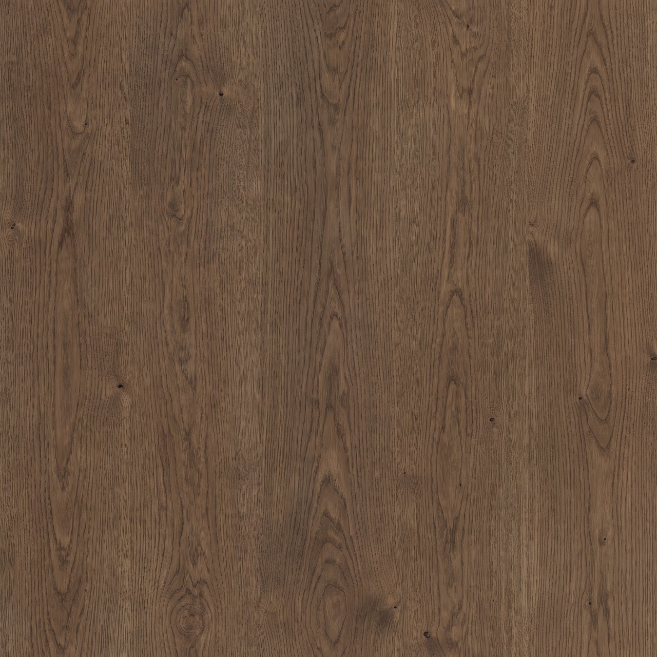 Smoked European Oak Wood Texture 004