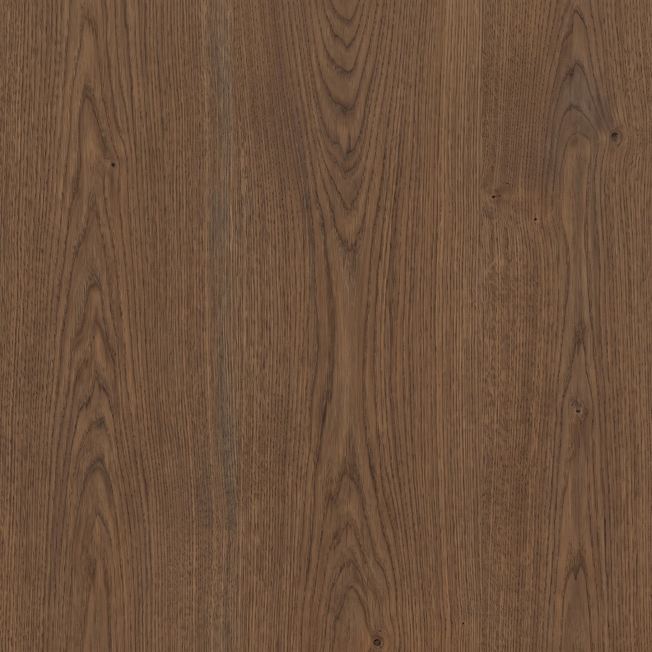 Smoked European Oak Wood Texture 005