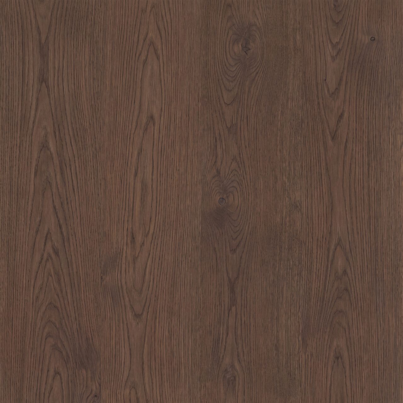 Smoked European Oak Wood Texture 007