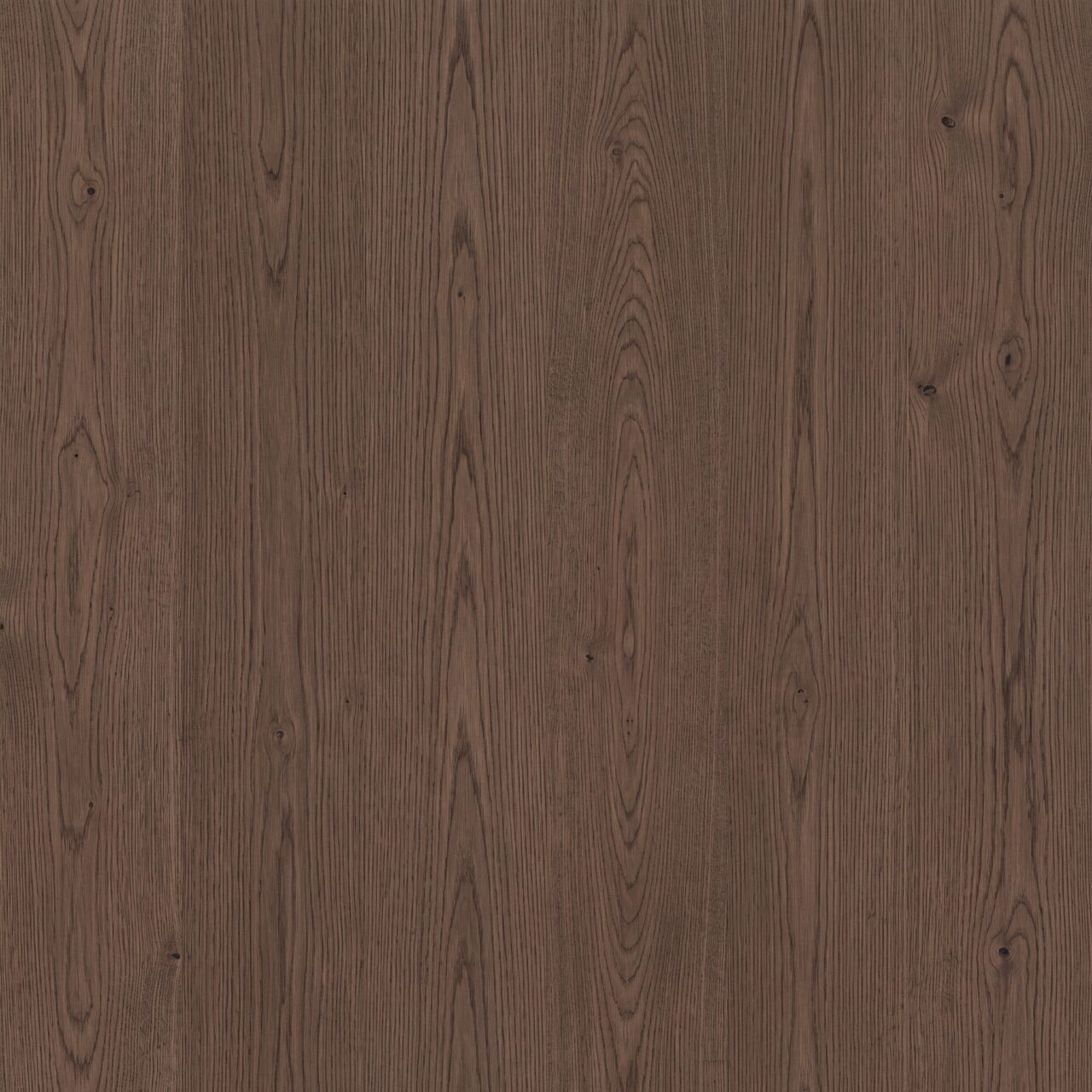 Smoked European Oak Wood Texture 009