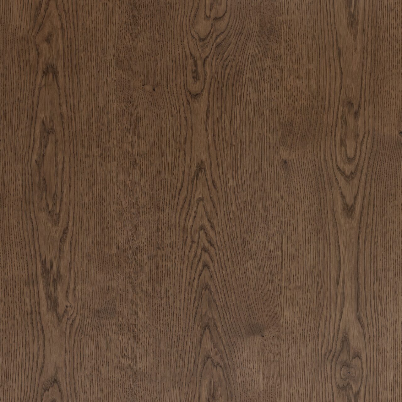 Smoked European Oak Wood Texture 011