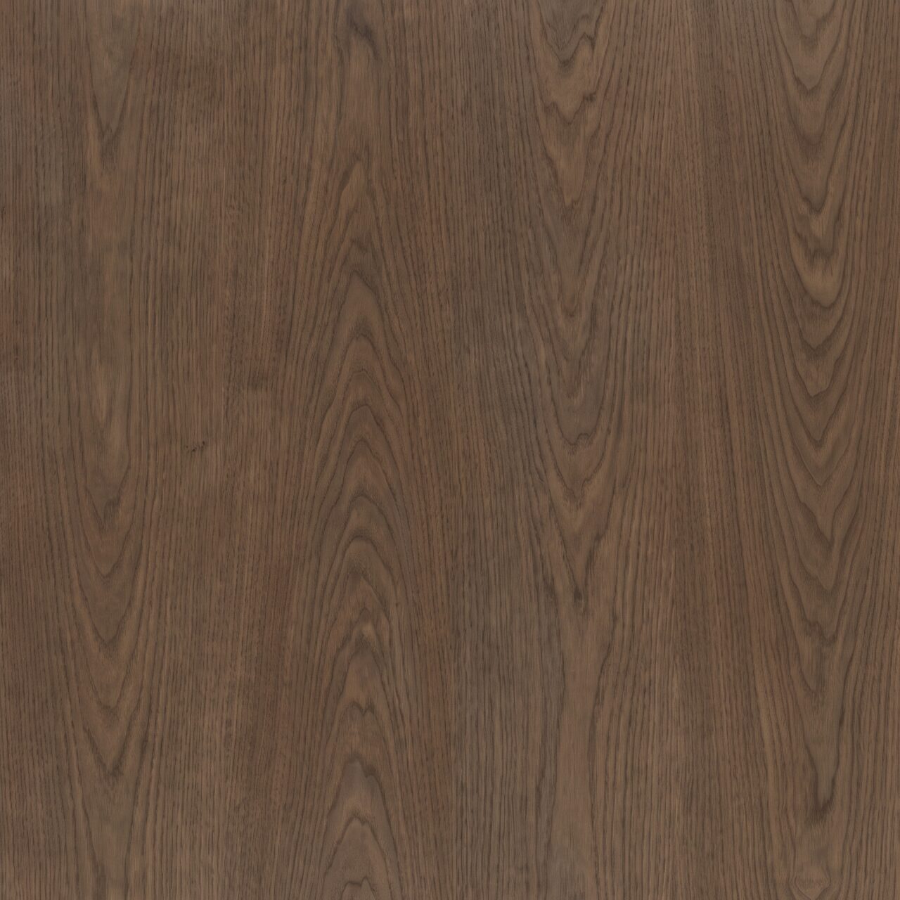 Smoked European Oak Wood Texture 012