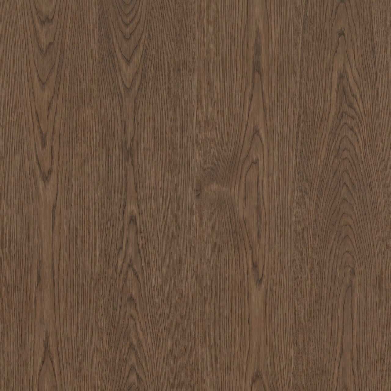 Smoked European Oak Wood Texture 014
