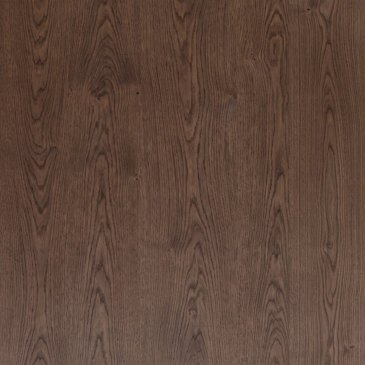 Smoked European Oak Wood Texture 016