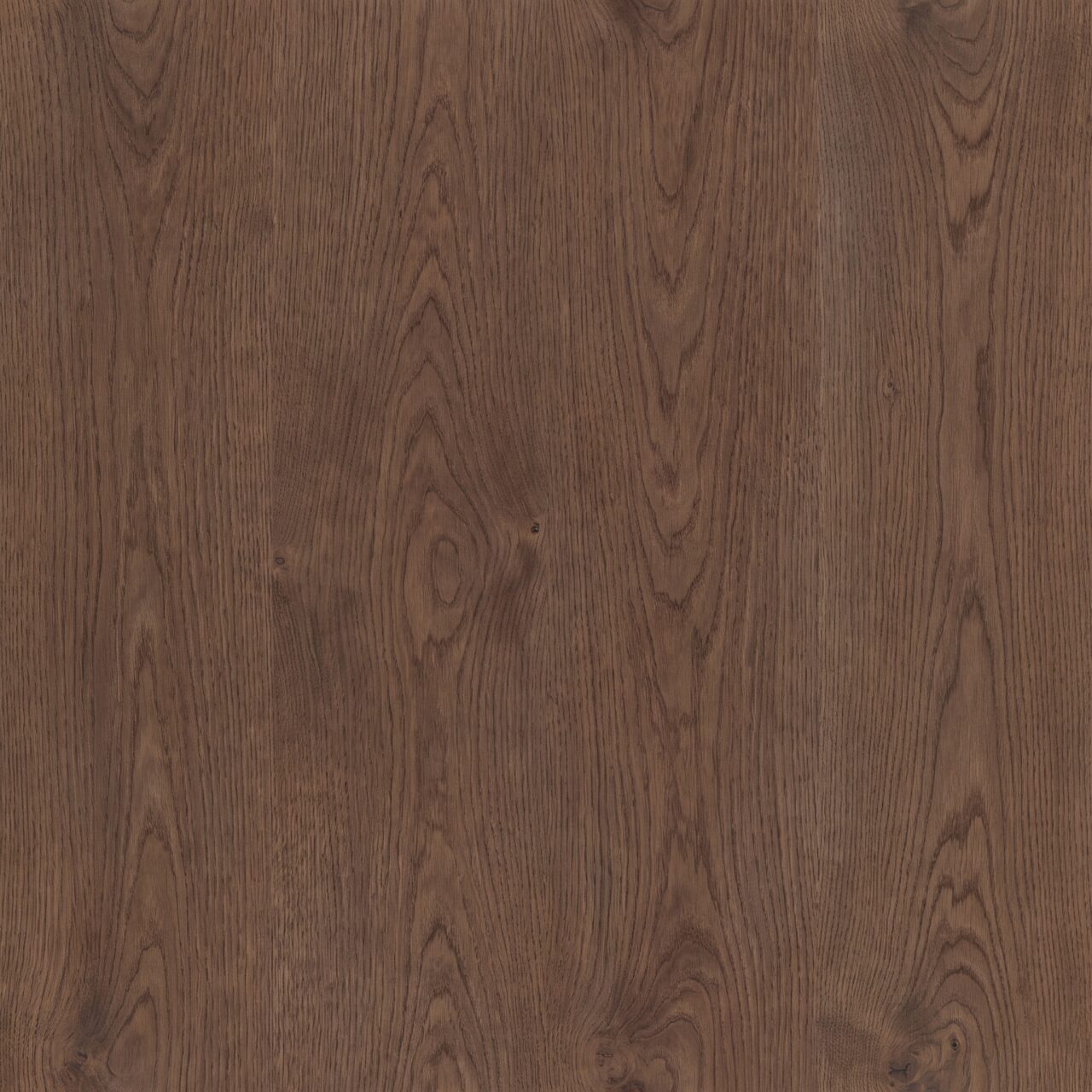 Smoked European Oak Wood Texture 019