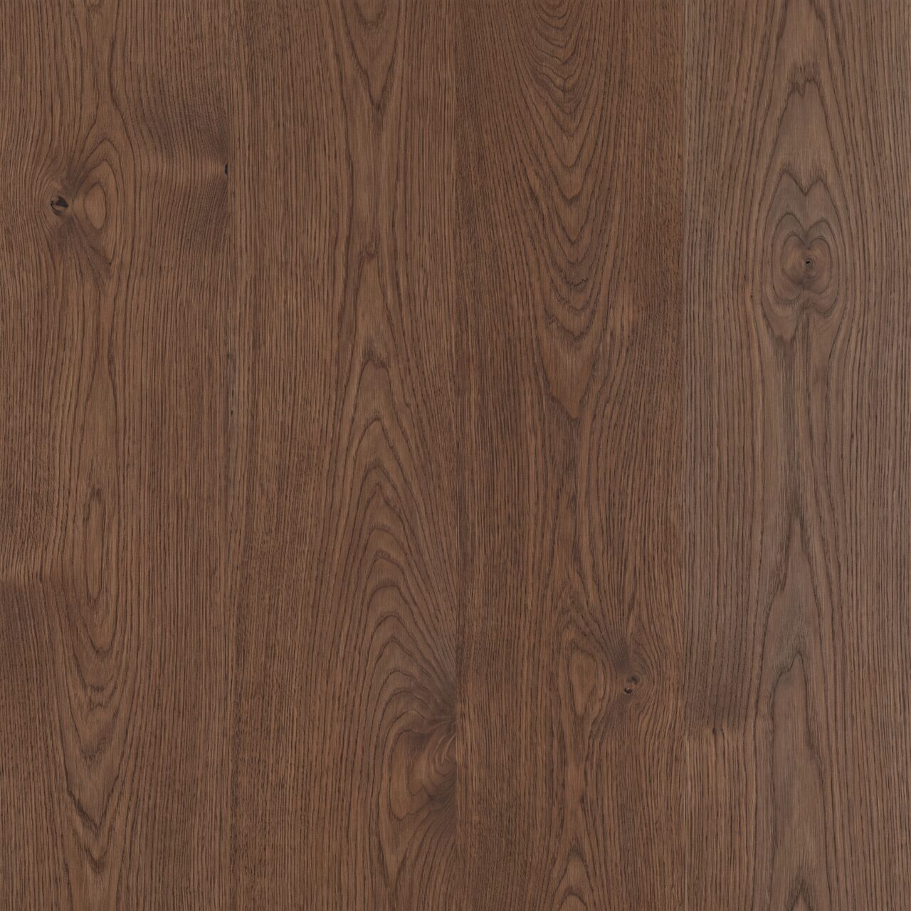 Smoked European Oak Wood Texture 020