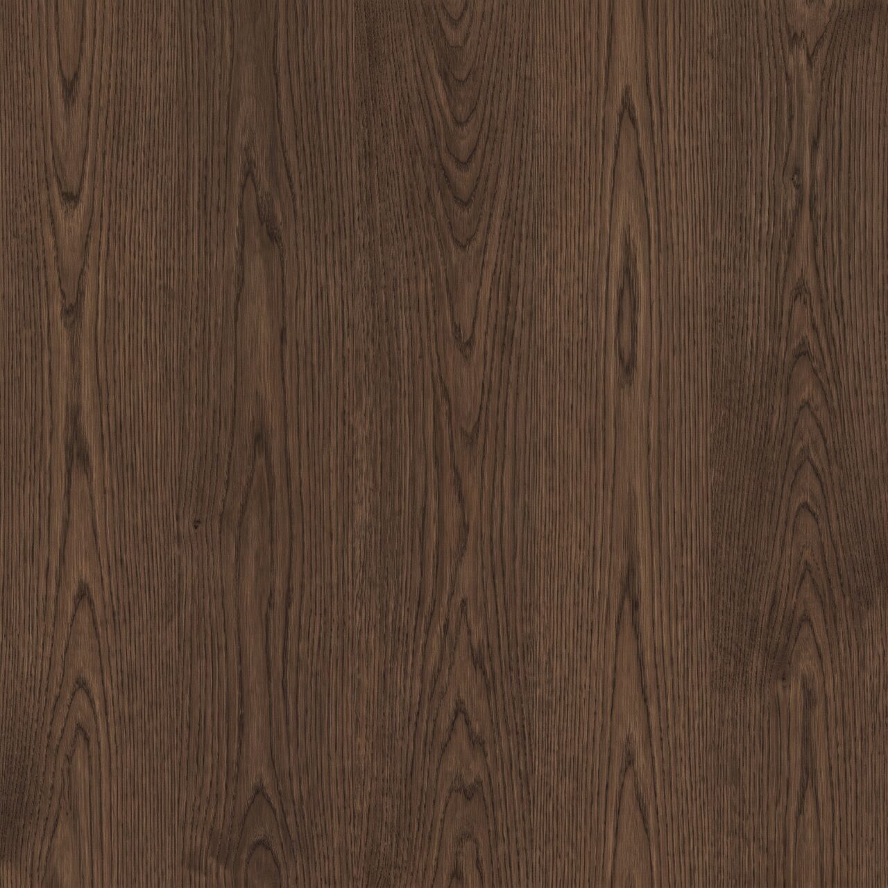 Smoked European Oak Wood Texture 021