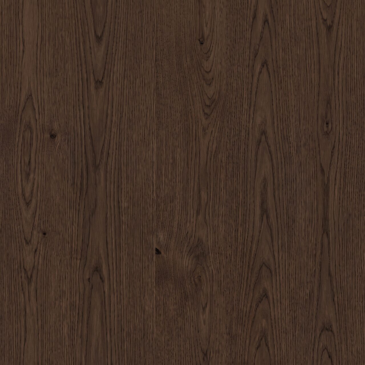 Smoked European Oak Wood Texture 022