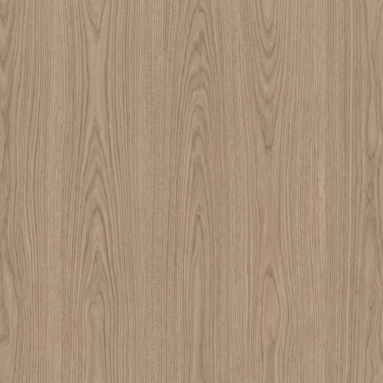 Soft Taupe Oak Wood Texture 010