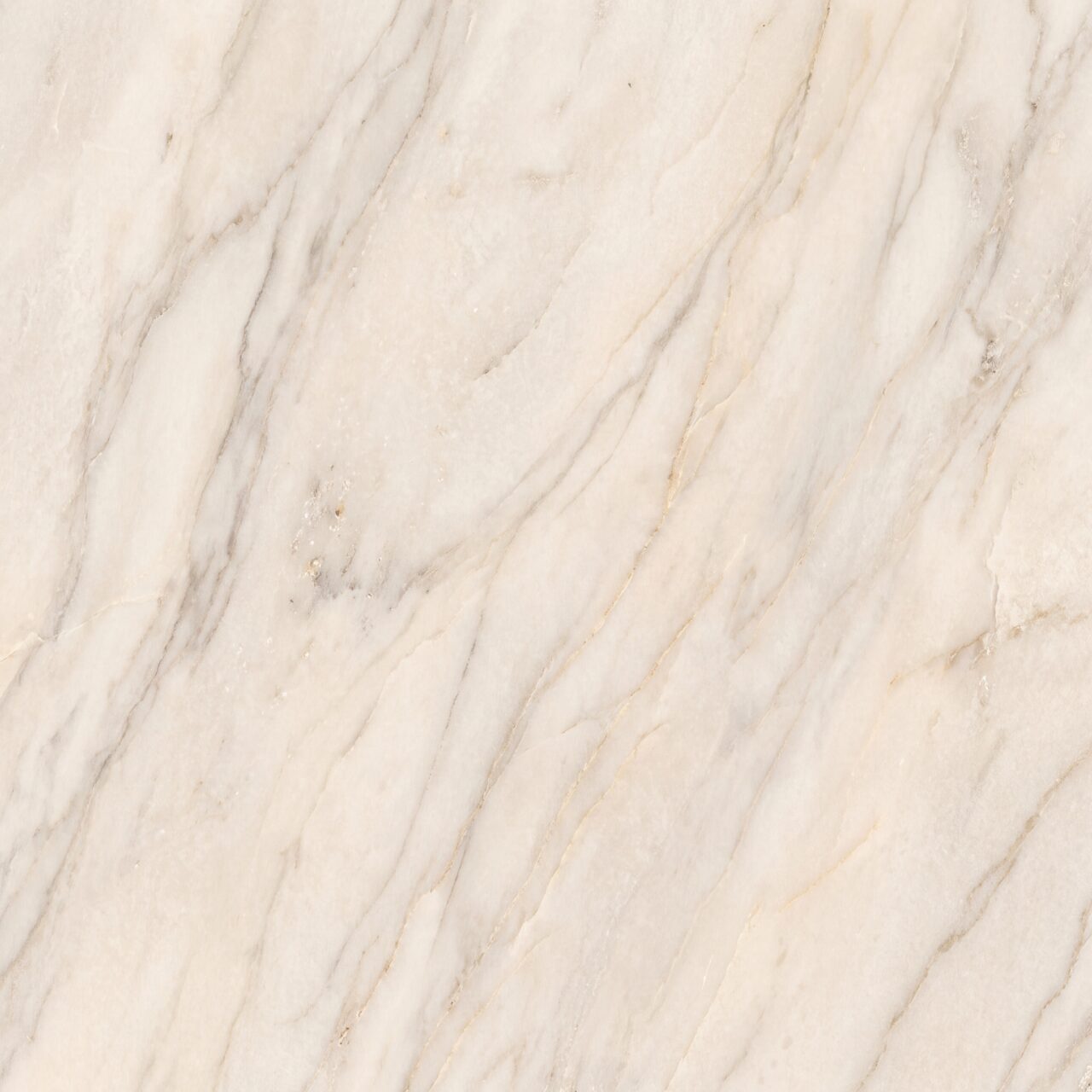 Taj Mahal Quartzite Texture 002