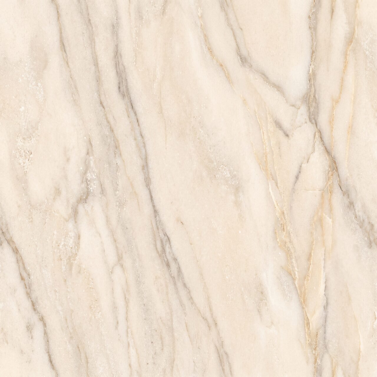 Taj Mahal Quartzite Texture 005