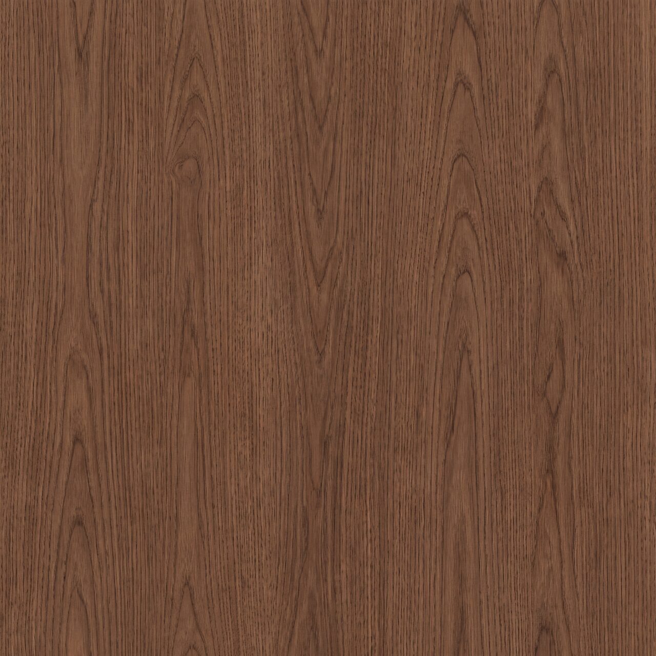 Tobacco Oak Wood Texture 001