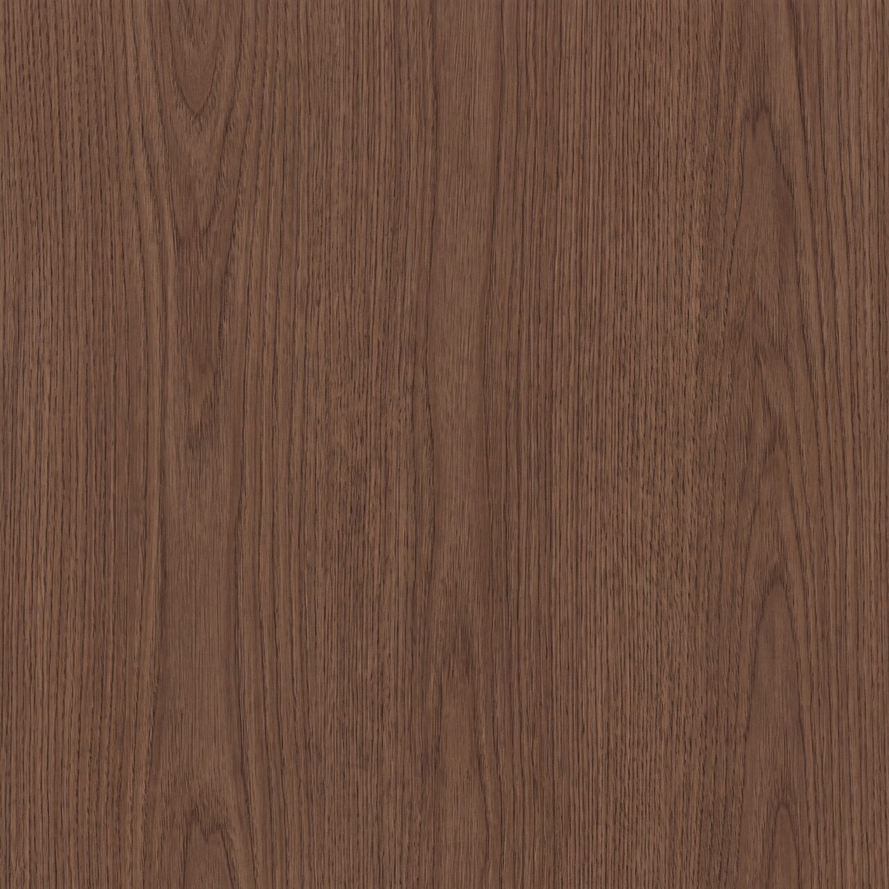 Tobacco Oak Wood Texture 004