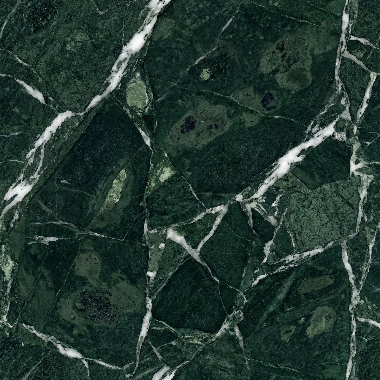 Verde Alpi Marble Texture 001