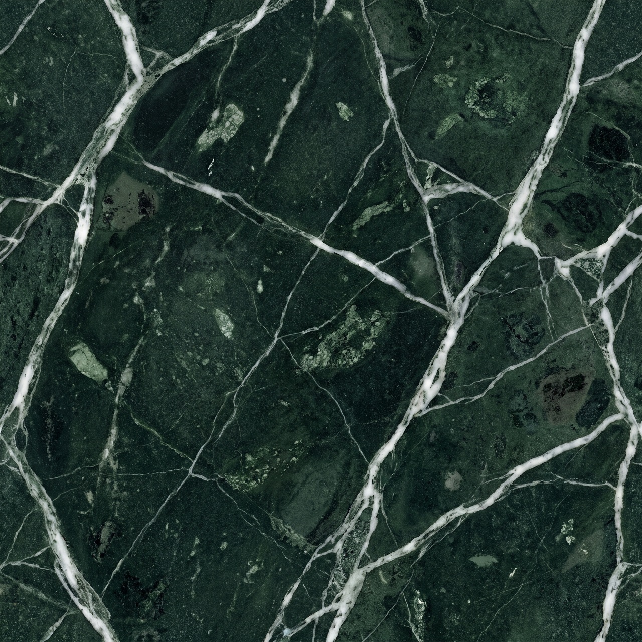 Verde Alpi Marble Texture 003