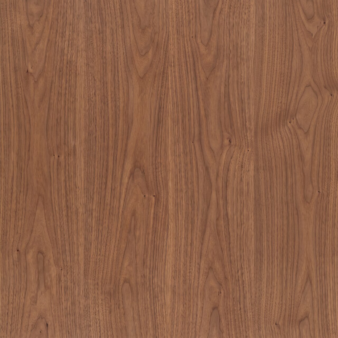 Warm Walnut Wood Texture 002