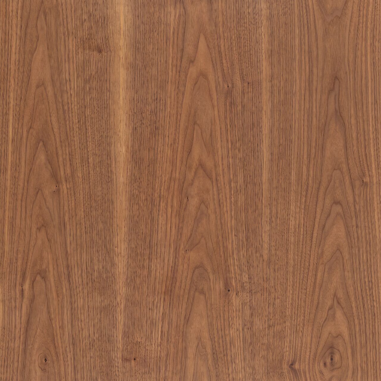 Warm Walnut Wood Texture 003