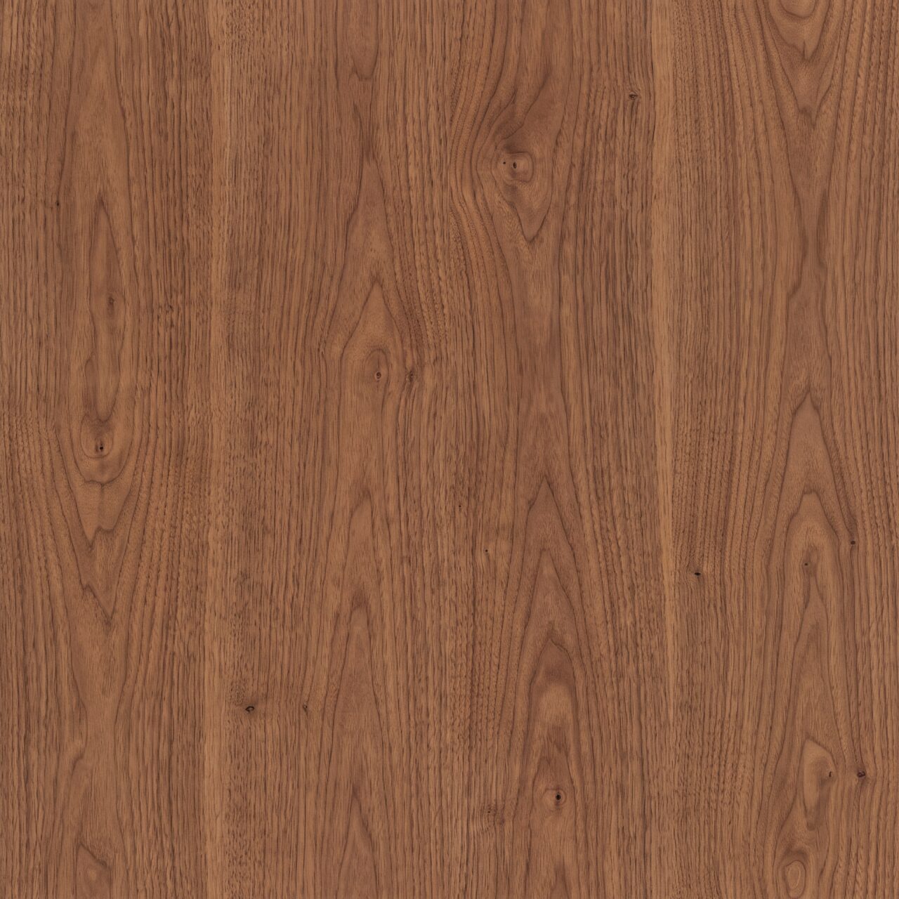Warm Walnut Wood Texture 004