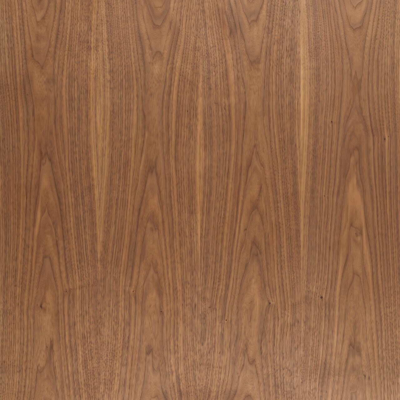 Warm Walnut Wood Texture 006