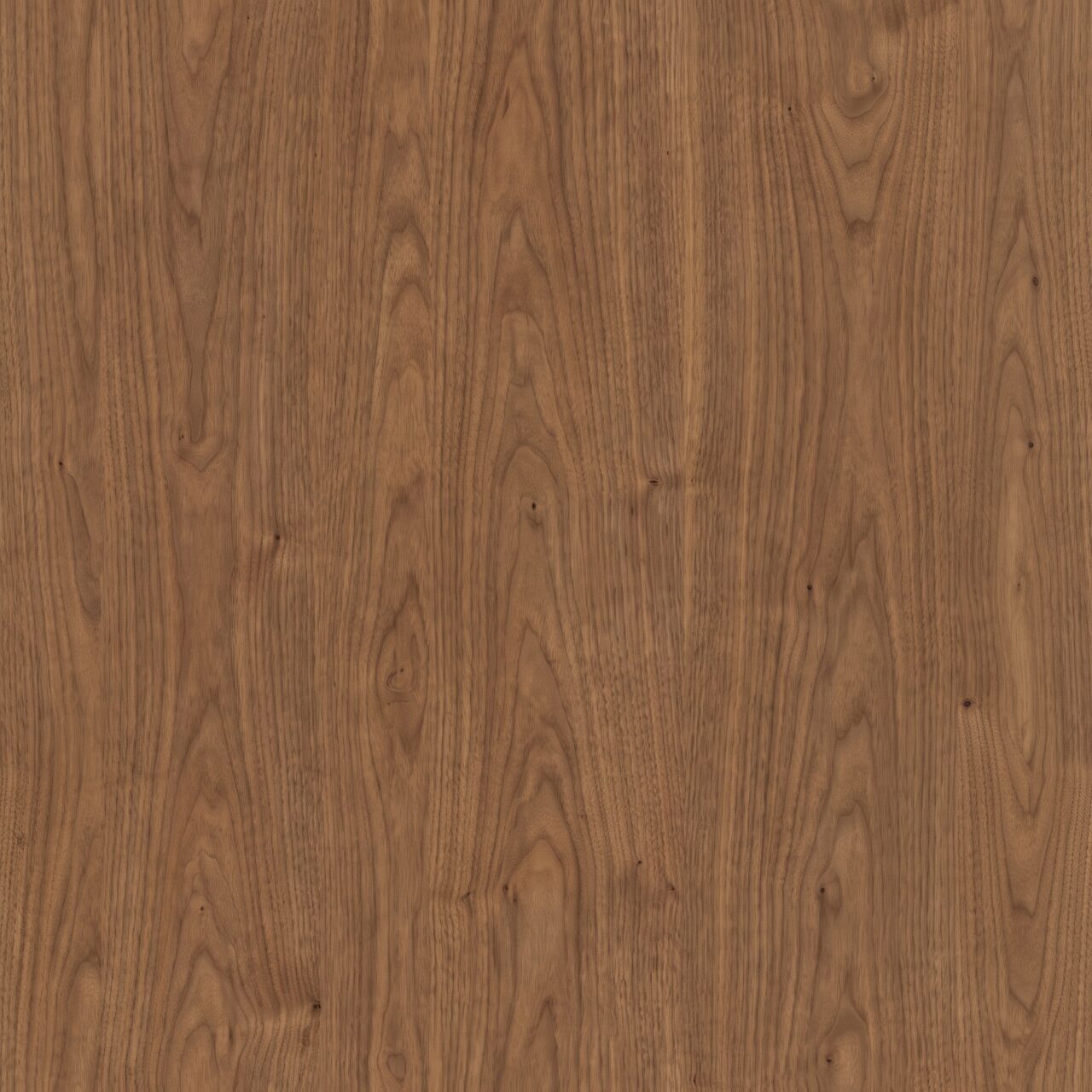 Warm Walnut Wood Texture 007