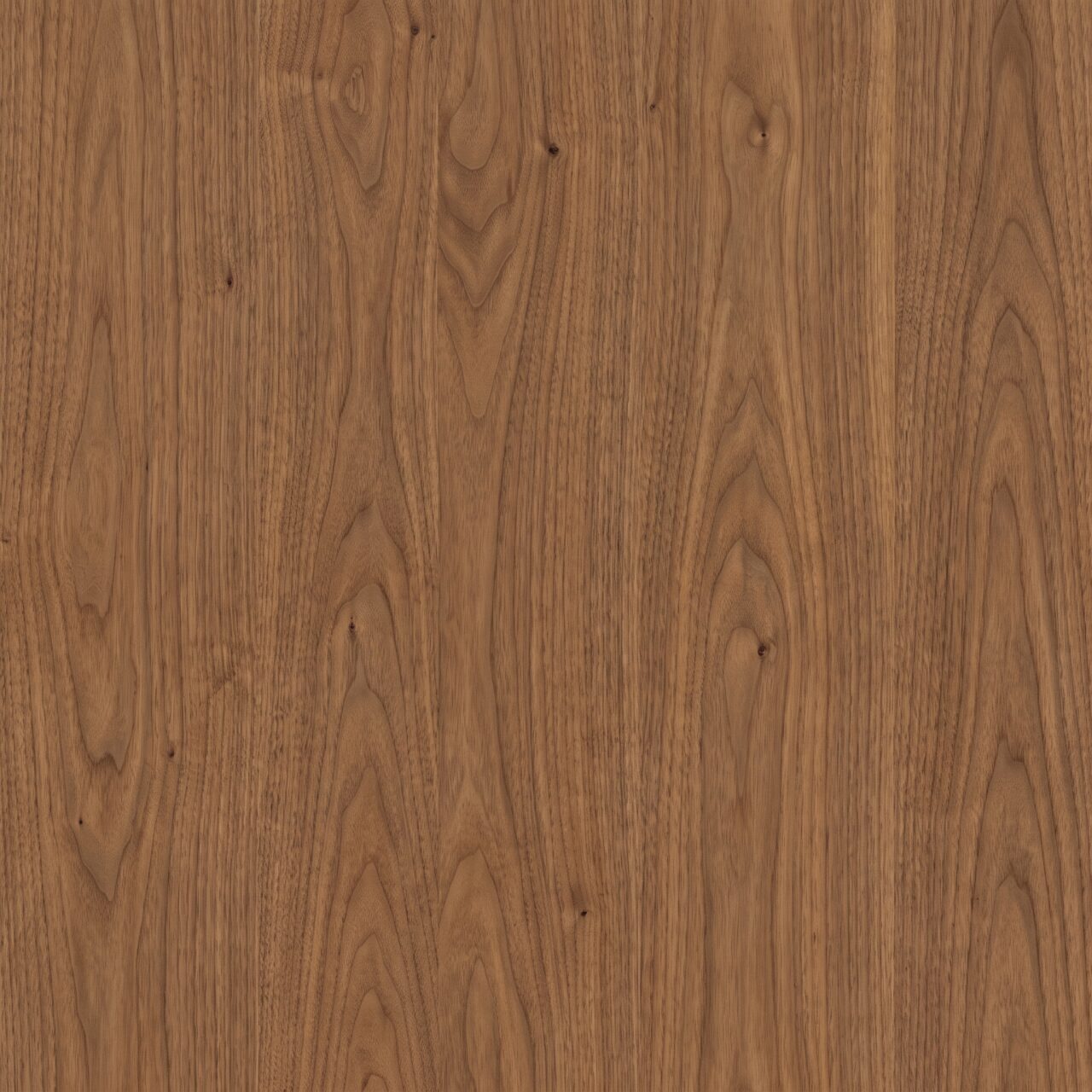 Warm Walnut Wood Texture 008