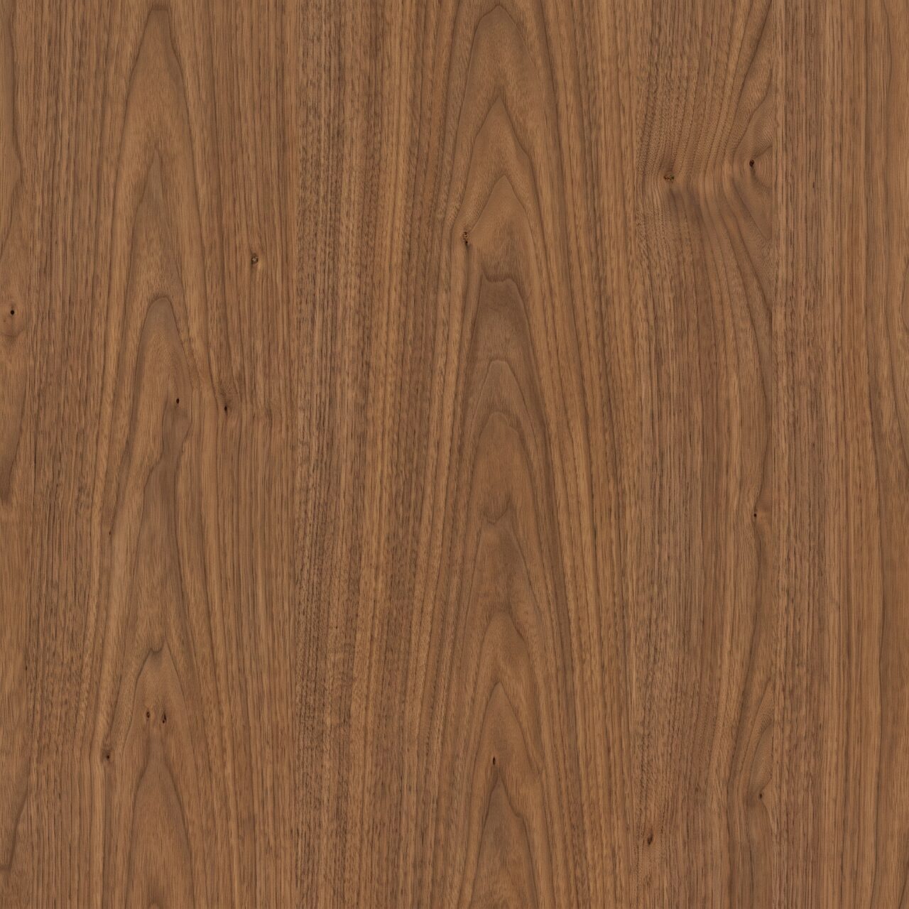 Warm Walnut Wood Texture 009