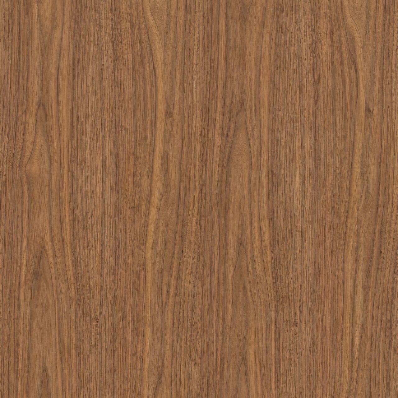 Warm Walnut Wood Texture 013