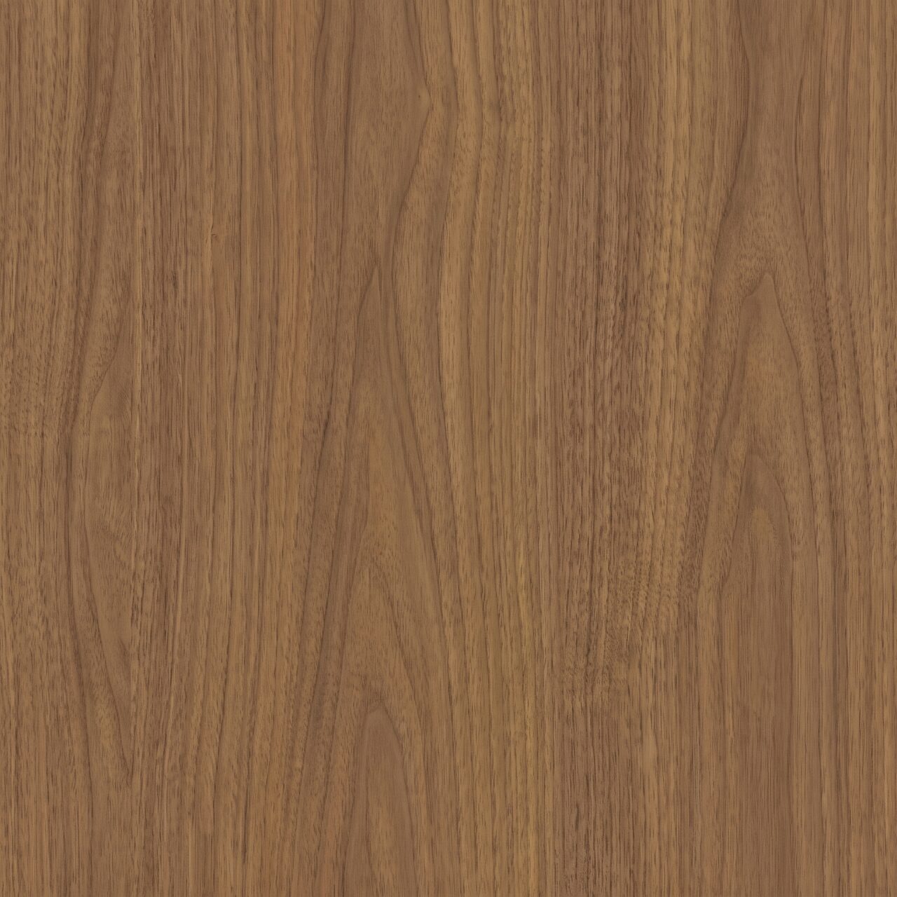 Warm Walnut Wood Texture 014