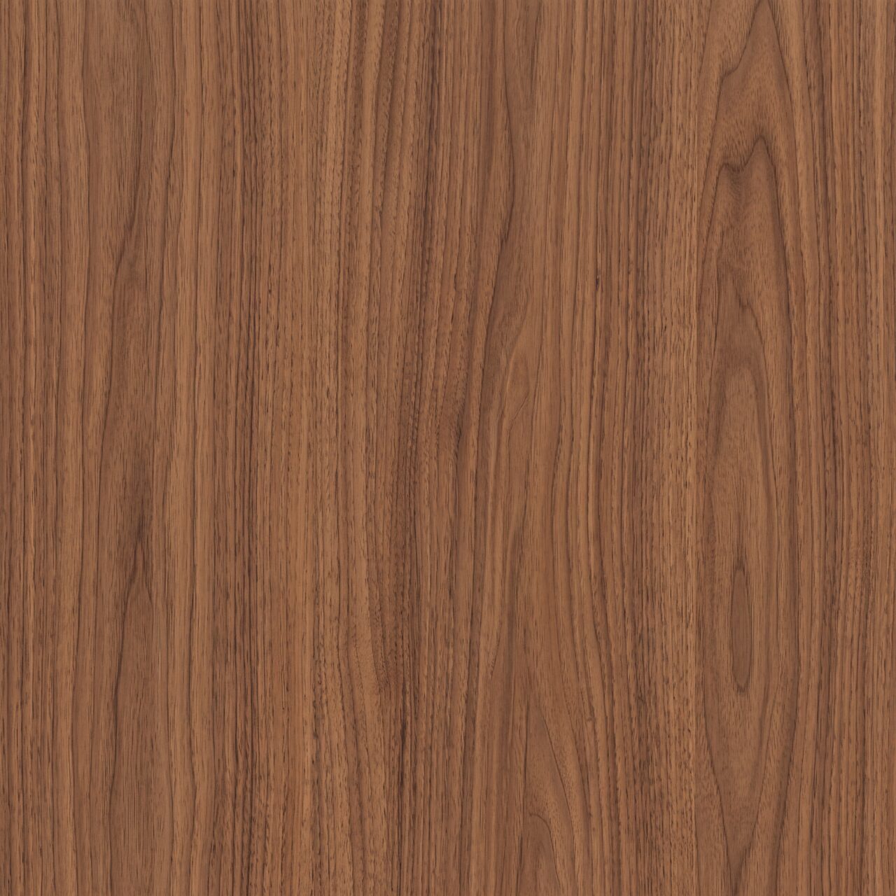 Warm Walnut Wood Texture 016