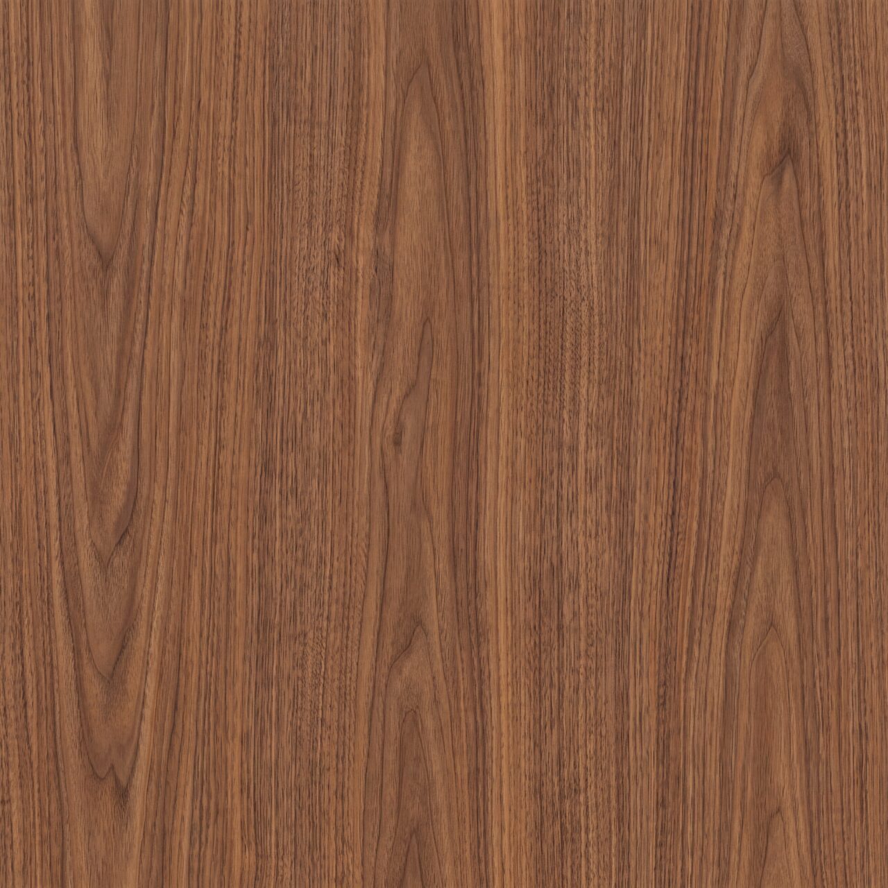 Warm Walnut Wood Texture 017