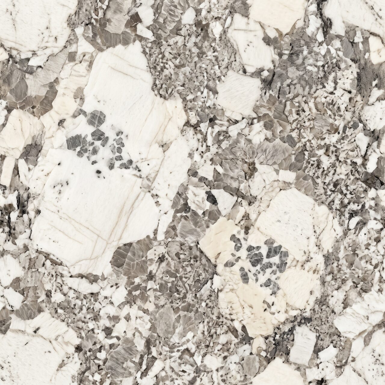 White Granite Texture 008