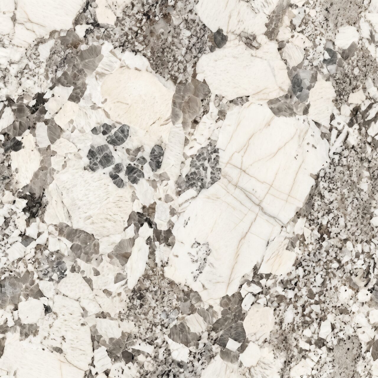 White Granite Texture 009