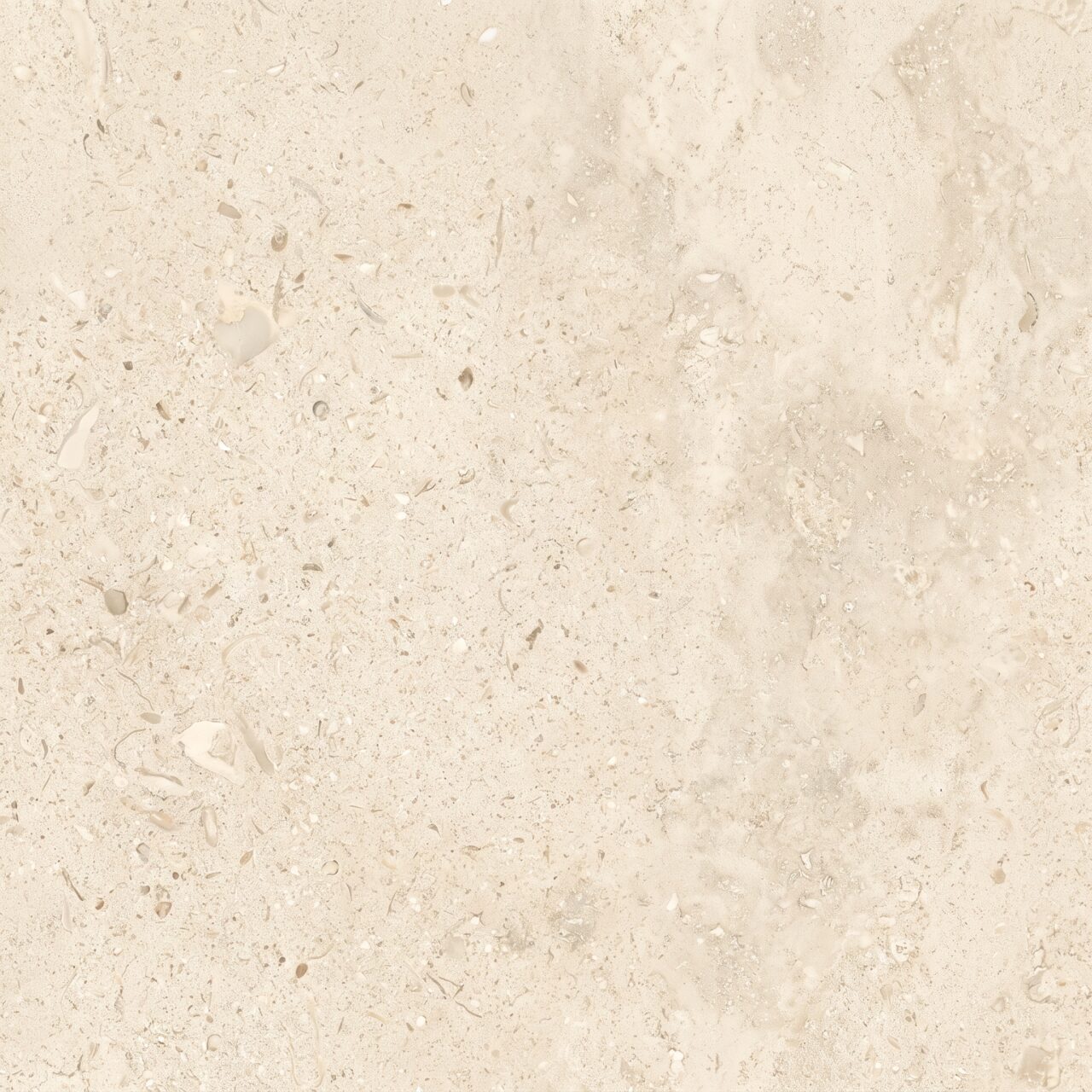 Beige Fossil Limestone Texture 001