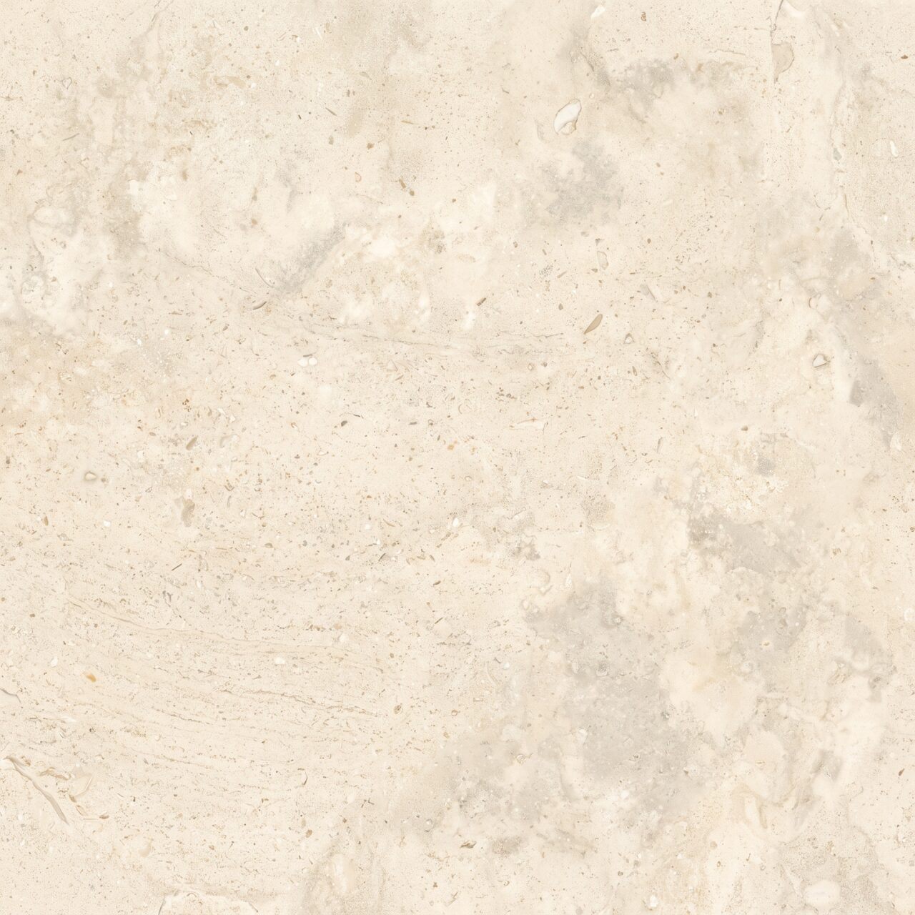Beige Fossil Limestone Texture 003