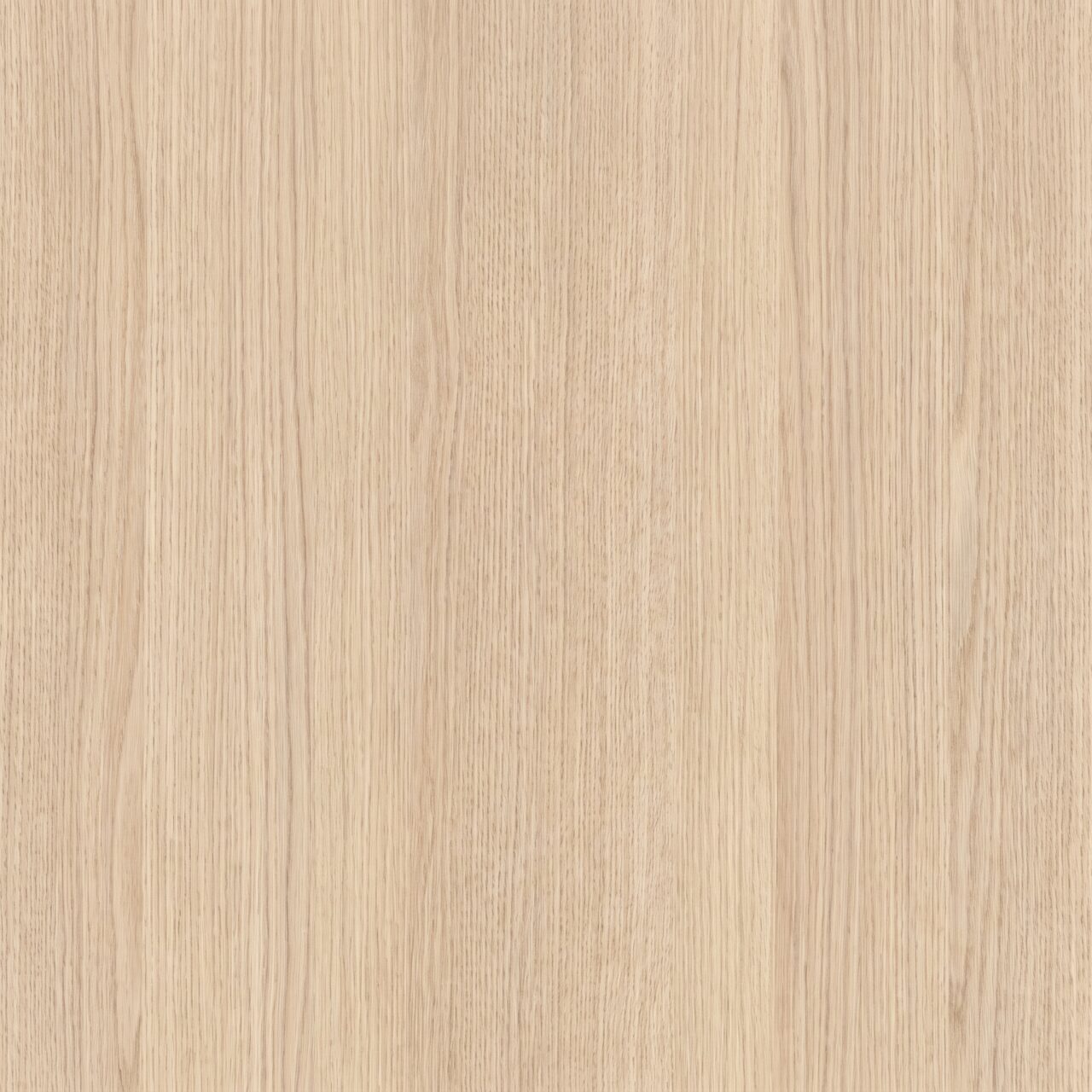Light Beige Oak Wood Texture 007