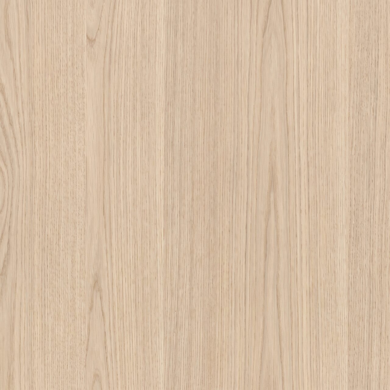 Light Beige Oak Wood Texture 009